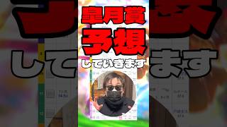 【皐月賞予想】 #リアライズシリウス #グリーンエナジー #ロブチェン #ゾロアストロ #マテンロウゲイル #皐月賞 #競馬予想 #シンデレラグレイ #ウマ娘
