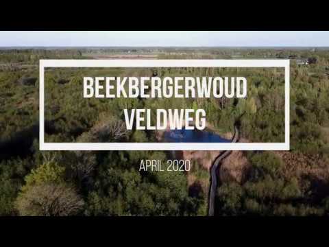 DJI Mavic Mini - Beekbergerwoud & Veldweg A1 Apeldoorn Netherlands