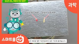 [6학년ㅣ과학] 불을 직접 붙이지 않고 물질 태워 보기ㅣ6학년 2학기 3. 연소와 소화 (2)