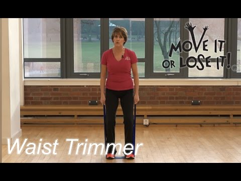 Waist trimmer