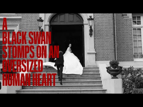 A Black Swan Stomps On An Oversized Human Heart