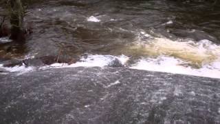 preview picture of video 'River Leven Riverside Park Glenrothes Fife Scotland'