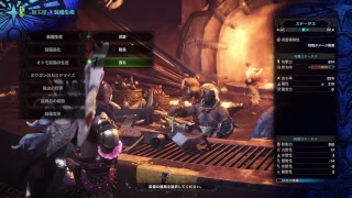 ［かつて特攻隊長と呼ばれた女］モンスターハンターワールド MHW  ～ベヒーモスお迎え会～