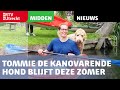 Tommie de kanovarende hond blijft deze zomer in Utrecht [RTV Utrecht]