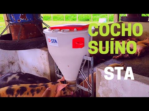 , title : 'Cocho (comedouro) para Suínos STA'
