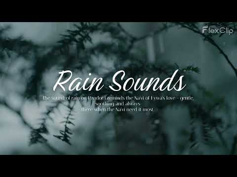 Pandora Na'vi Rain Sounds Ambience
