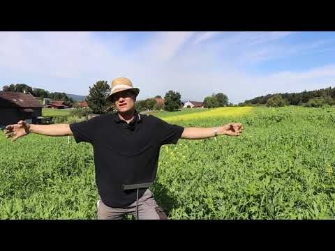 Regenerative Methoden: Untergrundlockerung bei Verdichtungen