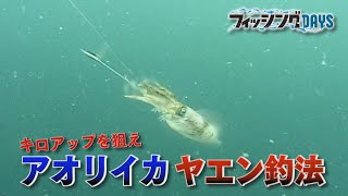 フィッシングDAYS「キロアップを狙え アオリイカヤエン釣法」