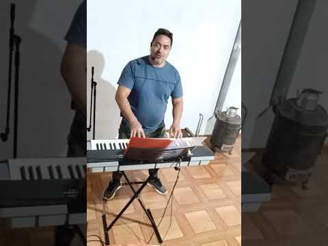 Ariel Martínez y su teclado Mágicos general Alvear Mendoza Argentina