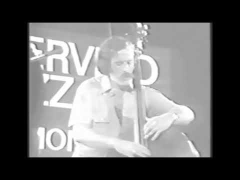 Benny Carter, Clark Terry, Charles Mingus & Johnny Griffin - Hammerveld Jazz Festival