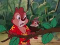 Chip N Dale Rescue Rangers Reversed