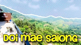 preview picture of video 'Doi Mae Salong (Chiang Rai, Thailand)'