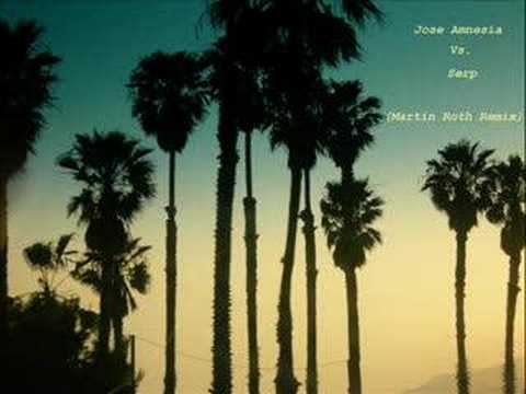 Jose Amnesia Vs. Serp - Second Day (Martin Roth Remix)