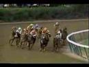 A.P. Indy - 1992 Breeders Cup Classic