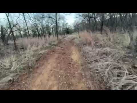 part of the walk from campsites to the paved trail leading back to the parking lot