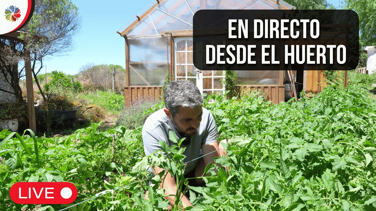 En directo desde el huerto