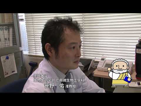 美術学科 生物生命学科　笹野先生　【J:COM「フィロソフィアの扉」】35　崇城大学