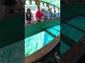 Mammoth Spring from a Glass Bottom Boat! 🌊🐟 | Silver Springs, FL