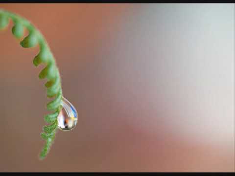 Video thumbnail for Hold On