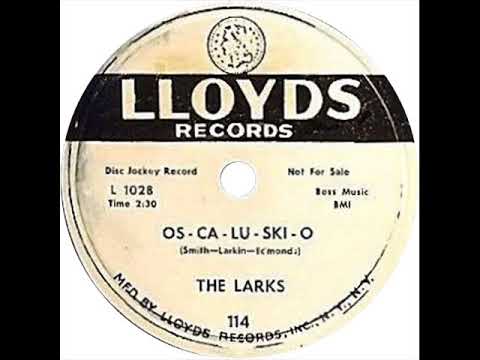 Larks - Os-Ca- Lu-Ski-O (Lloyds 114) 1954