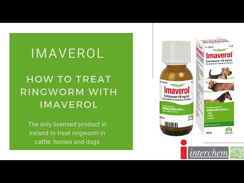 , title : 'How to treat ringworm with Imaverol'