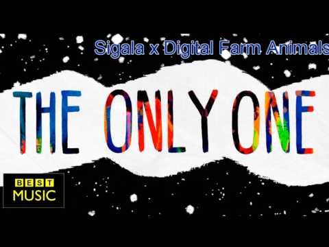 Sigala x Digital Farm Animals - Only One