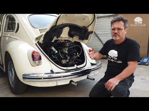 Tonella - Learn how to buy a real Beetle!