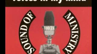 Voices - Voices In My Mind (Cosmack Radio Edit)