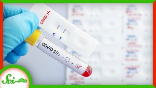 How to Get COVID-19 Test Results in an Hour or Less | SciShow News