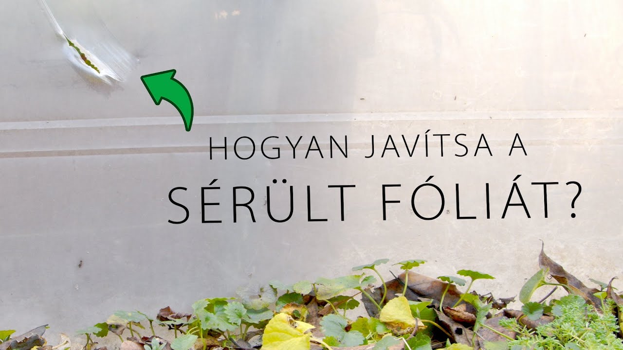 Fóliaragasztó javító