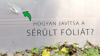 Fóliaragasztó javító