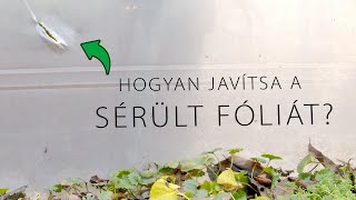 Fólia javító ragasztó