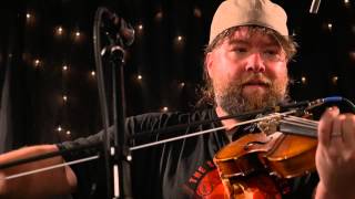 Trampled By Turtles - Wild Animals (Live on KEXP)
