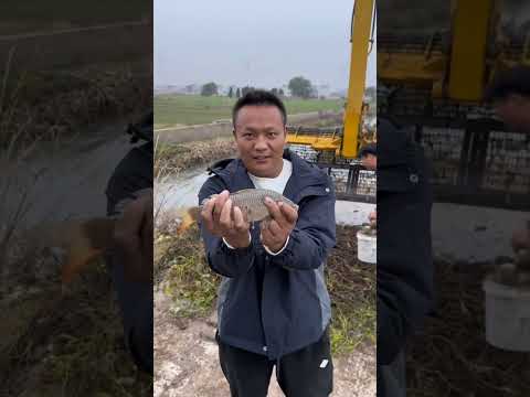 JCB Fish 🐠🐟 Hunting in River [217]