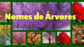 +100 nomes tipos de ÁRVORES\(*;*)/