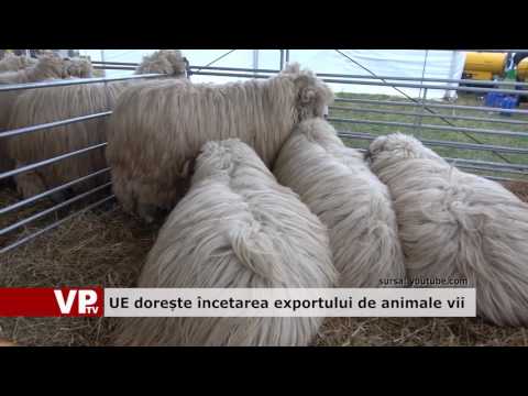 UE dorește încetarea exporturilor de animale vii