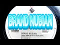 BRAND NUBIAN Feat DIAMOND D PUNKS JUMP UP TO GET BEAT DOWN