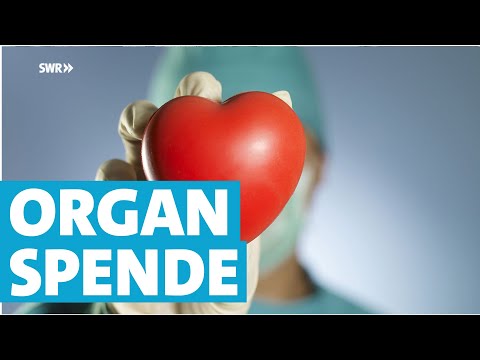 Hirntod - was Organ-Spender wissen sollten