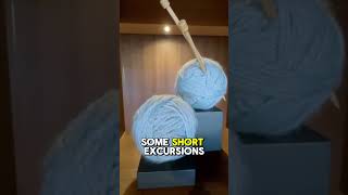 This Cruise Ship Has a WHAT?! 😳 #cruiseship #westerdam