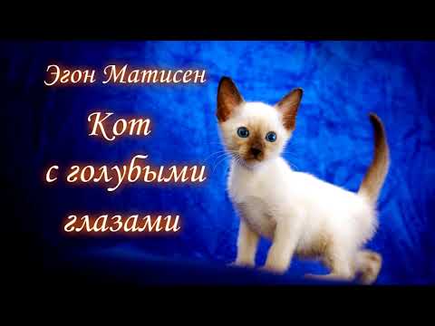 Эгон Матисен. Кот с голубыми глазами | Аудиосказка