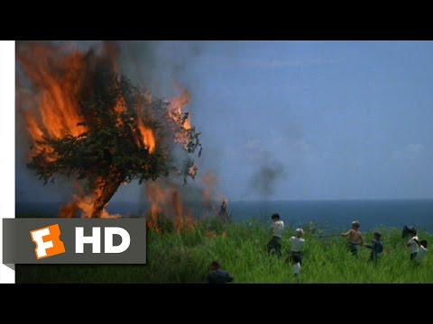 Lord of the Flies (3/11) Movie CLIP - Fire! (1990) HD