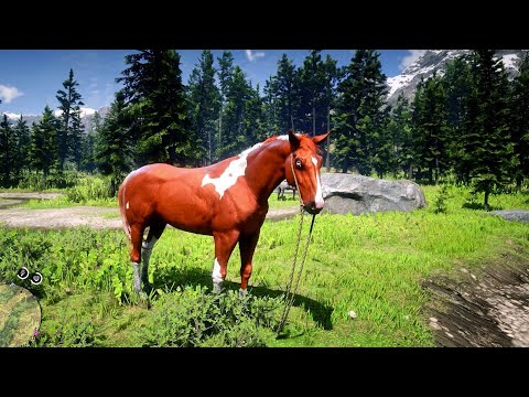 Arthur catch a beautiful Arabian horse - Rdr2 | Gameplay