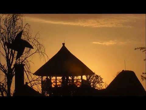 OZORA Festival 2017