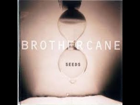 Brother Cane - And Fools Shine On
