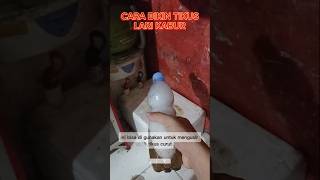 Download lagu rahasia cara mengusir tikus #idekreatif #tips #tutorial mp3