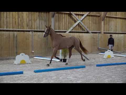 LITTLE DANCE SEMILLY