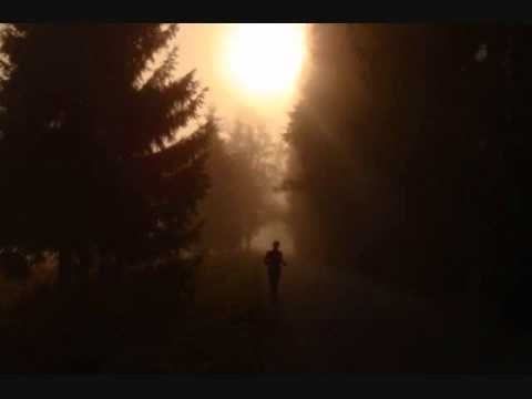 Jan Nedvěd - Tak jsem to tu miloval