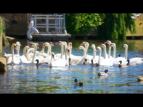 Lockdown - 21.05.2020