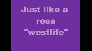 westlife - like a rose