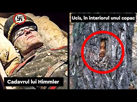 Cele mai bizare descoperiri de cadavre din istorie